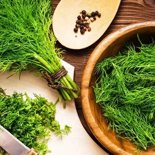 تصویر 1 از فروش عمده شوید خشک اعلا با شرایط منعطف